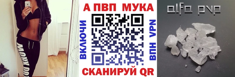 мориарти Telegram  Энем  Alfa_PVP СК 