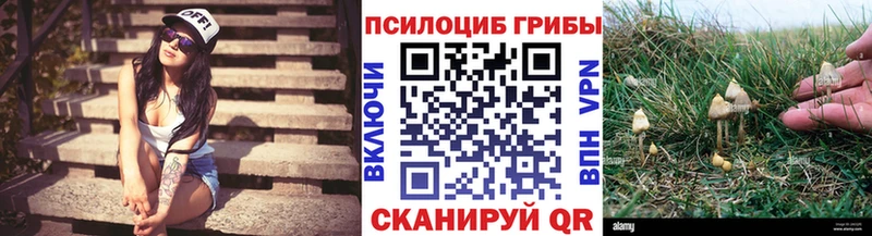 Галлюциногенные грибы Psilocybe  Энем 